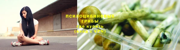 ГАЛЛЮЦИНОГЕННЫЕ ГРИБЫ Балахна