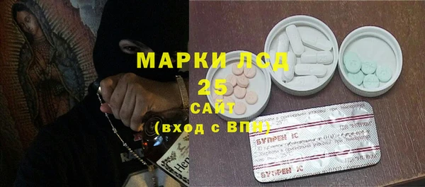 ГАЛЛЮЦИНОГЕННЫЕ ГРИБЫ Балахна
