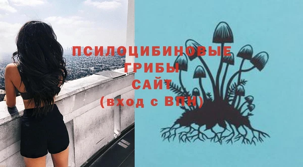 не бодяженный Баксан