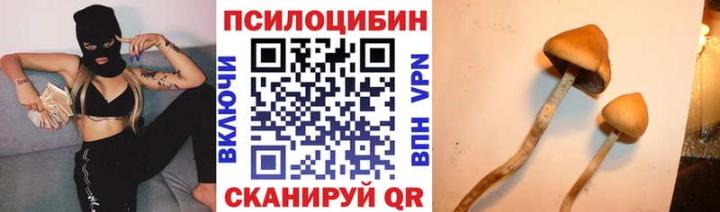 Псилоцибиновые грибы Magic Shrooms  Октябрьск 